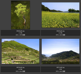 梯田茶园 高山湖泊 火山岩浆 彩色树林枫叶 雪山喷泉 图片图库