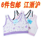 Coques pour soutien-gorge - Ref 820052 Image 62