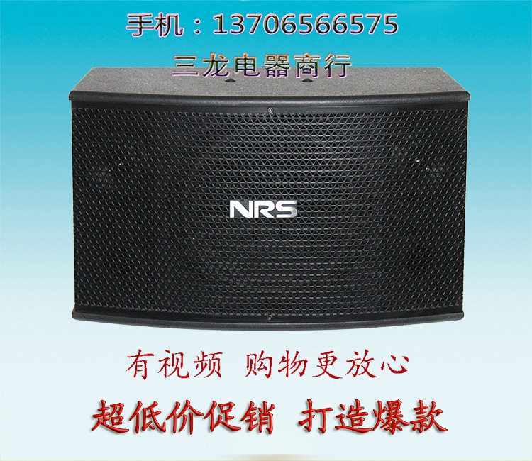 包邮 威多尔nrs 10寸家用 会议 ktv 店铺 卡包音箱kbb-11