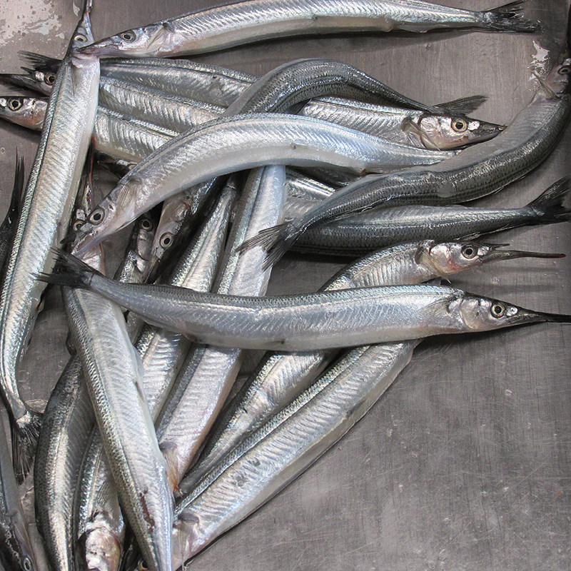 针亮鱼 鲜活捕捞新鲜马步鱼古董鱼真亮鱼大棒鱼海鲜水产满包邮,水产肉类/新鲜蔬果/熟食,秋刀鱼,淘宝优惠券,粉丝福利购,淘宝优惠卷