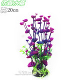 ����ˮ���о����~��