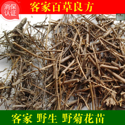 野菊花苗（干品） 野黄菊花 苦薏山菊花甘菊花 全草500g拍2斤包邮