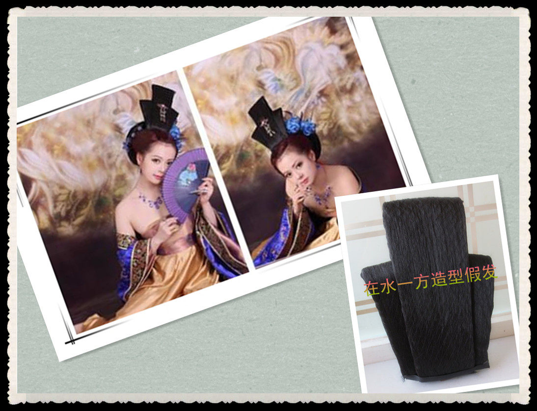 Extension cheveux - Chignon - Ref 248148 Image 1