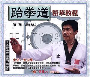 天韵 1VCD 正版 训练方法 刘卫军 跆拳道