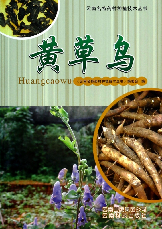 黄草乌/云南名特药材种植技术丛书 杨维泽,许宗亮,张智慧//杨美权//杨天梅等|主编:赵仁//张金渝 正版书籍