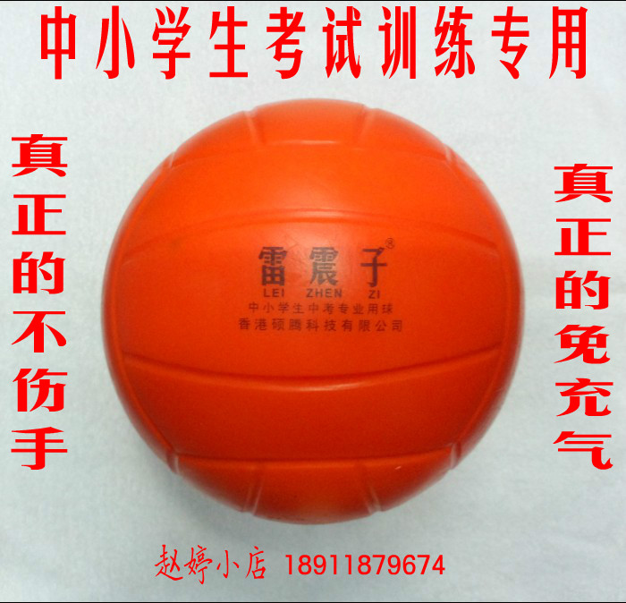 Ballon de volley - Ref 2010095 Image 1