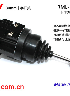 台湾雷力原装进口正品 30mm十字开关 RML-C0S/4022 四向自锁各1A