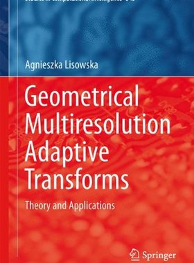 【预订】Geometrical Multiresolution Adaptive...