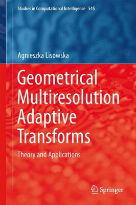【预订】Geometrical Multiresolution Adaptive...