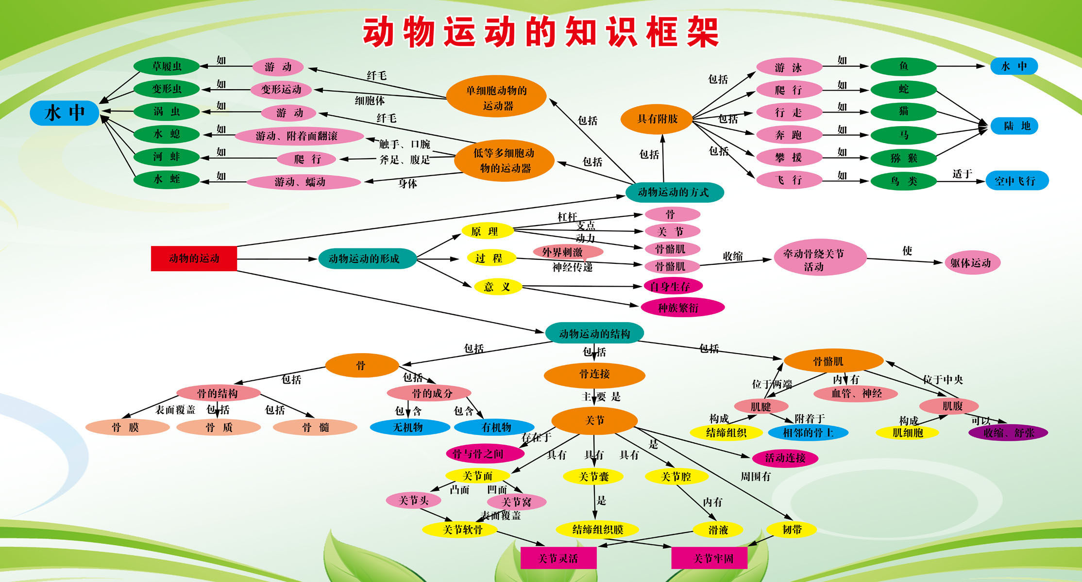621海报印制海报展板素材115动物运动的知识框架
