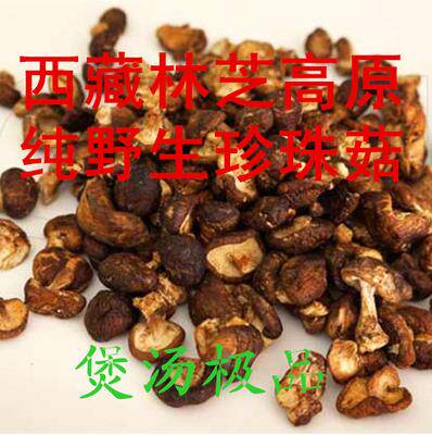 250克 西藏林芝野外种植珍珠菇 珍珠菌 爽滑入口 味浓