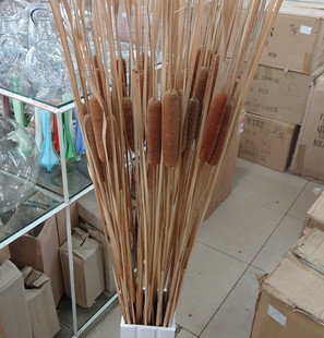 干花蒲草蒲棒水腊烛水烛香蒲舞台拍摄道具仿真花批发芦苇花绢花