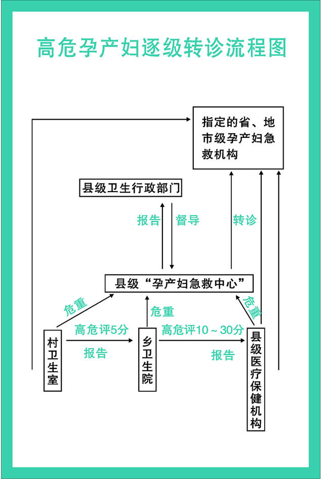 622海报印制展板素材255医院妇幼保健高危孕产妇逐级转诊流程图