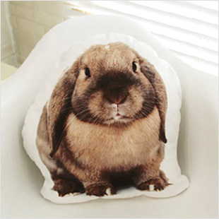 韩国代购进口正版创意可爱小兔子靠垫/兔兔纯棉布艺腰靠抱枕靠枕,居家布艺,靠垫/抱枕,淘宝优惠券,粉丝福利购,淘宝优惠卷