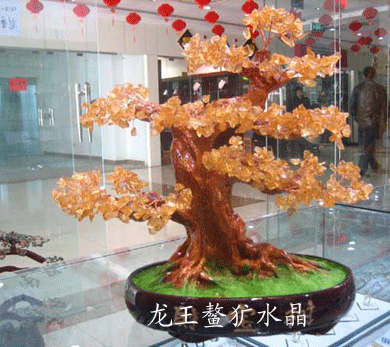 鳌犷天然黄水晶招财树AA1