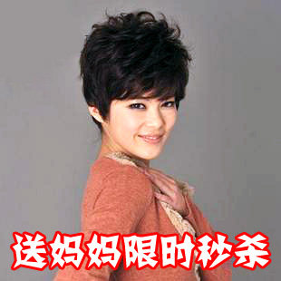 Extension cheveux - Chignon - Ref 248536 Image 71