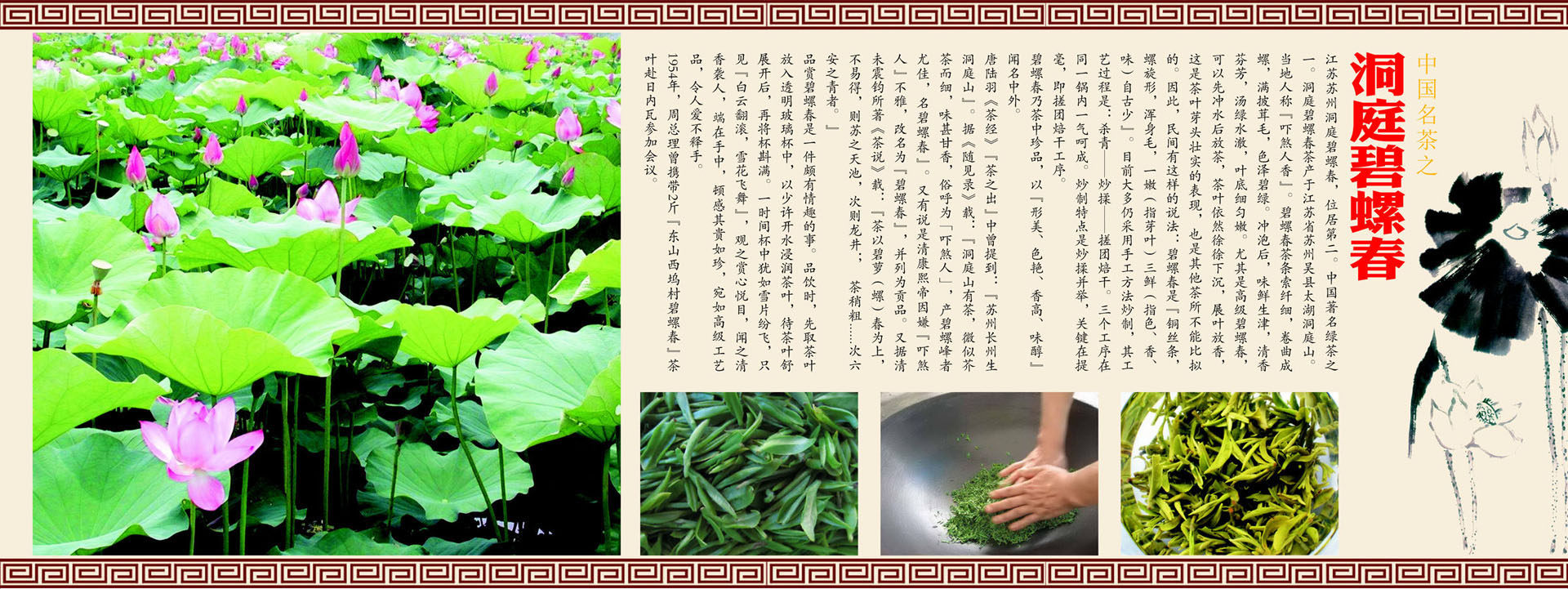 639海报印制海报展板素材243名茶之洞庭碧螺春简介炒茶过程