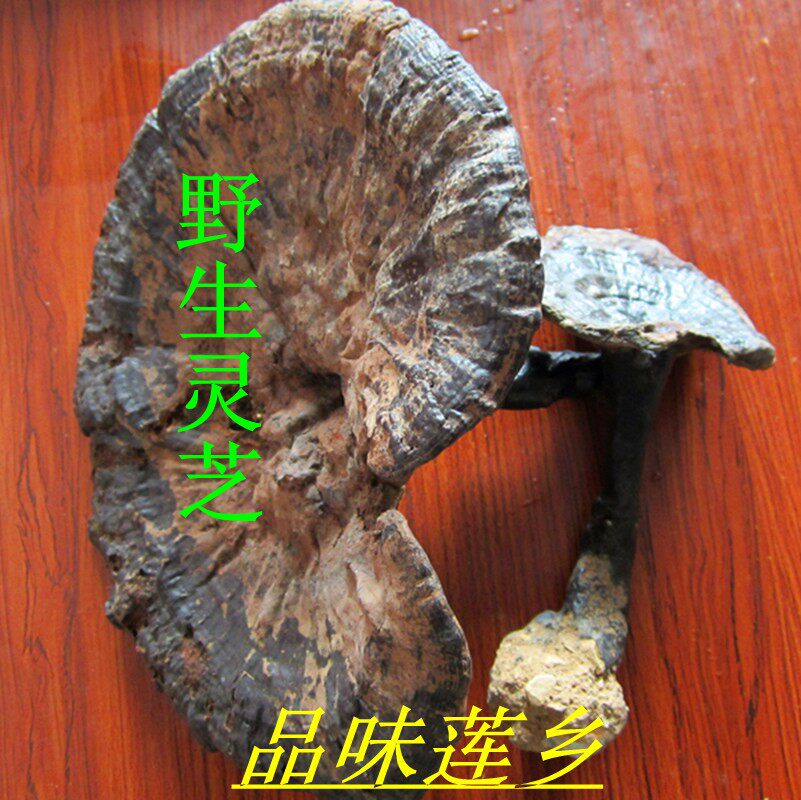 野生灵芝干闽江源建宁野生黑灵芝紫灵芝250克