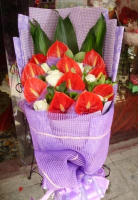 厦门红掌生日湖里区鲜花速递