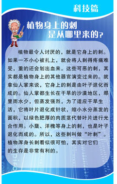 607海报印制海报展板素材666科普小知识植物身上的刺是从哪里来的