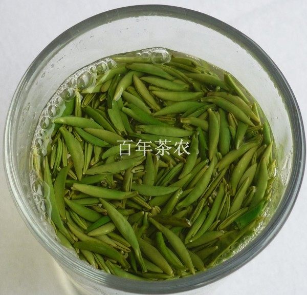 2026年新春上市四川峨眉山绿茶精品小米芽雀舌茶叶明前250G包邮