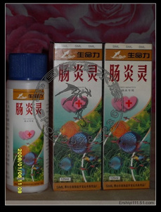 生命力肠炎灵观赏罗汉招财龙鱼鹦鹉鱼药  125ml