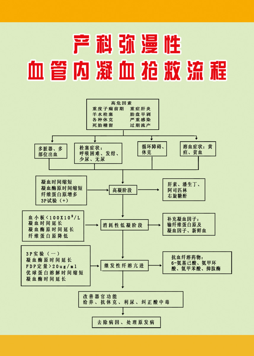海报印制102素材抢救流程展板5产科弥漫性血管内凝血抢救流程