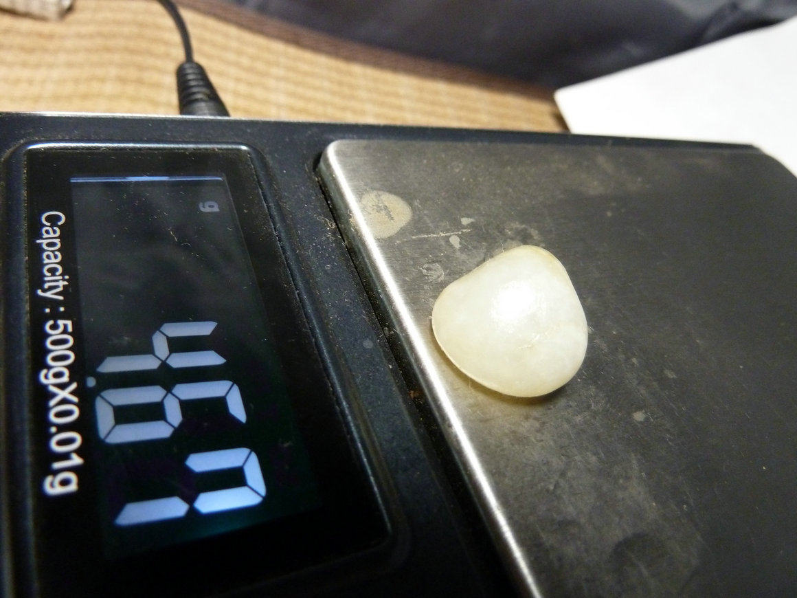 988 新疆和田玉白玉籽料珠宝奇石