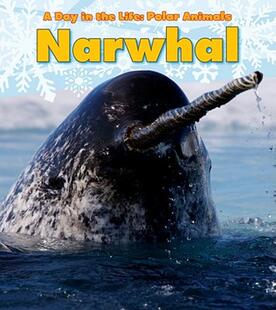 Narwhal 预售