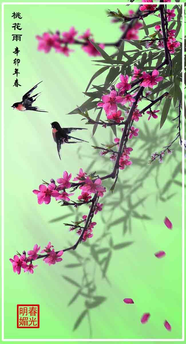 181素材鲜花卉海报展板装饰画墙画壁画挂画557桃花雨 ps海报印制