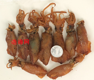鲜美小乌鱼/乌贼/墨鱼/比管鱼/海兔/籽乌((250克,野生,味美)