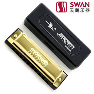 天鹅SW1020H-4 十孔布鲁斯口琴 10孔C调 激光仿金 送琴盒
