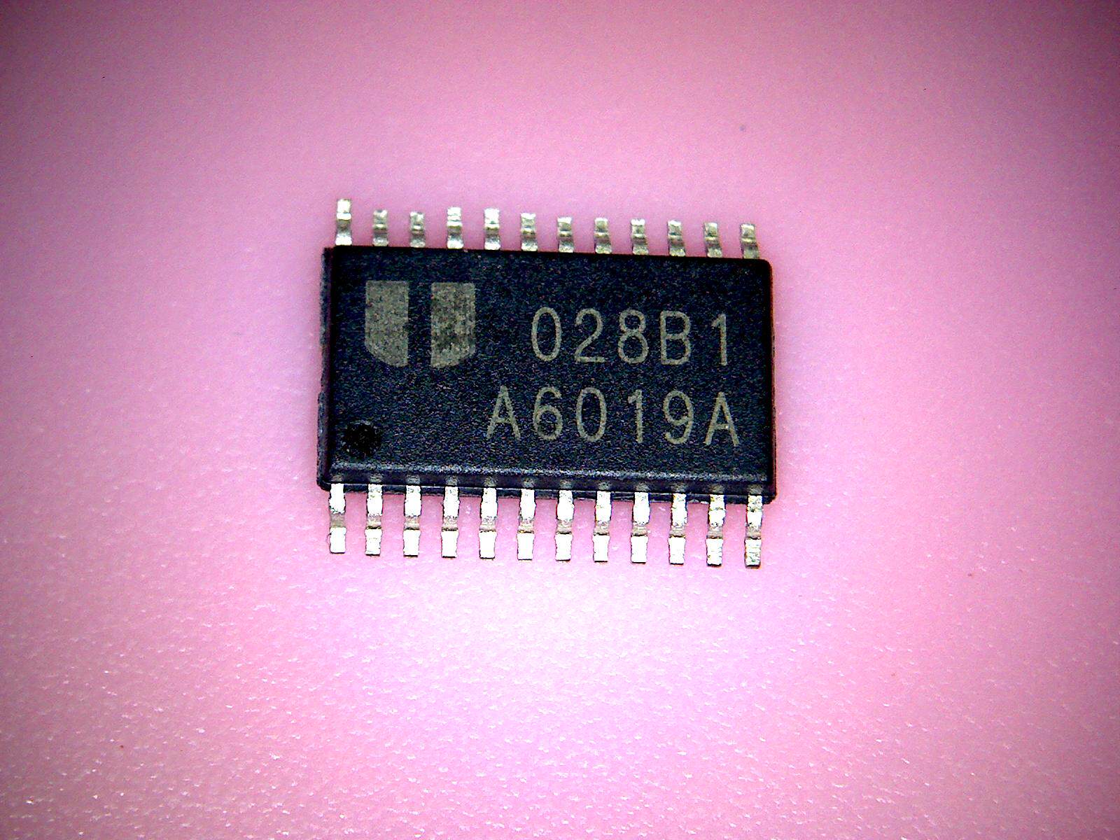 小猪 EA6019A A6019A 全新实物拍摄 盗版必究 直接拍 火速发货