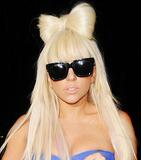 Extension cheveux - Chignon - Ref 249020 Image 12