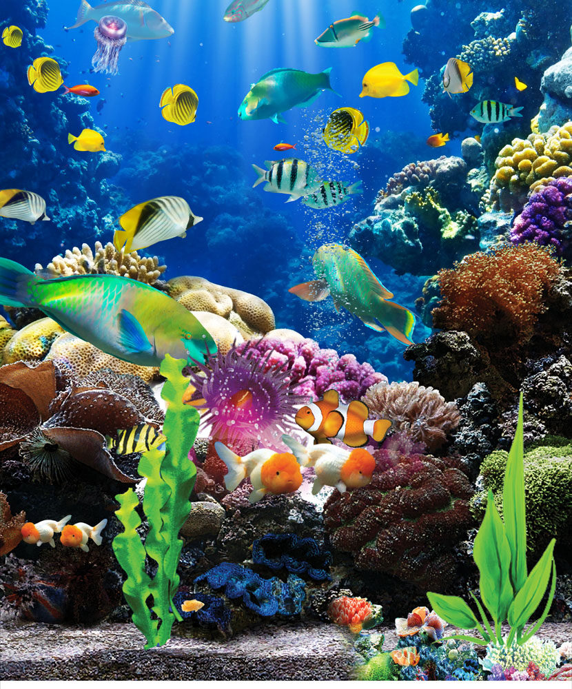580海报印制海报展板素材755水族箱装饰画贴纸画海底景色图片(8)