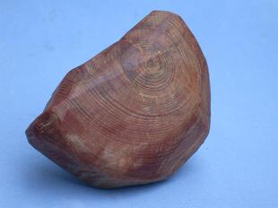 象形疙瘩木 动漫人物 血龙木原木 树瘤树根木雕根雕 手把件166