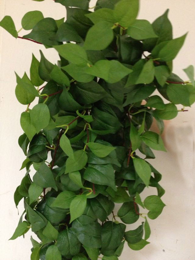 高档仿真绿萝藤绿叶挂壁藤条吊顶婚庆植物墙空调管道装饰花艺藤蔓,鲜花速递/花卉仿真/绿植园艺,仿真绿植,淘宝优惠券,粉丝福利购,淘宝优惠卷