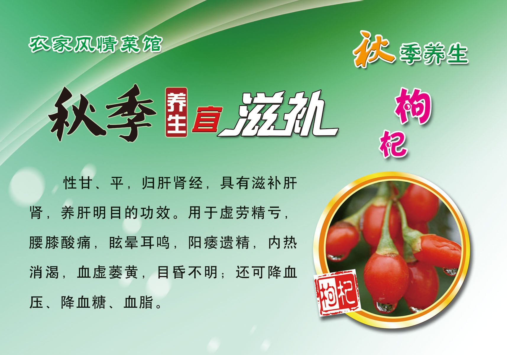 海报印制210海报展板素材(制作)1563秋季养生-枸杞作用功效