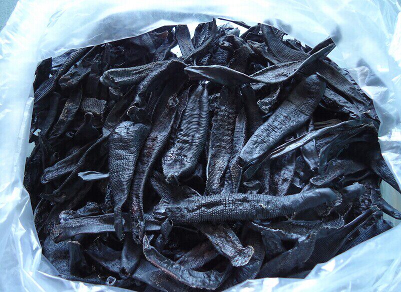 中药材野水蛭/ 蚂蝗 清水干货500克  可磨粉