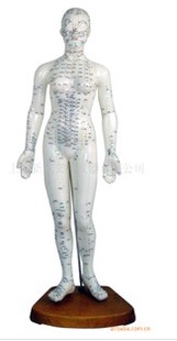 人体解剖模型 人体经络针灸模型 人体针灸模型 48CM人体针灸模型