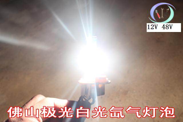 摩托车12V疝气灯泡 48V电动车灯泡石英超亮 灯泡电动车大灯泡