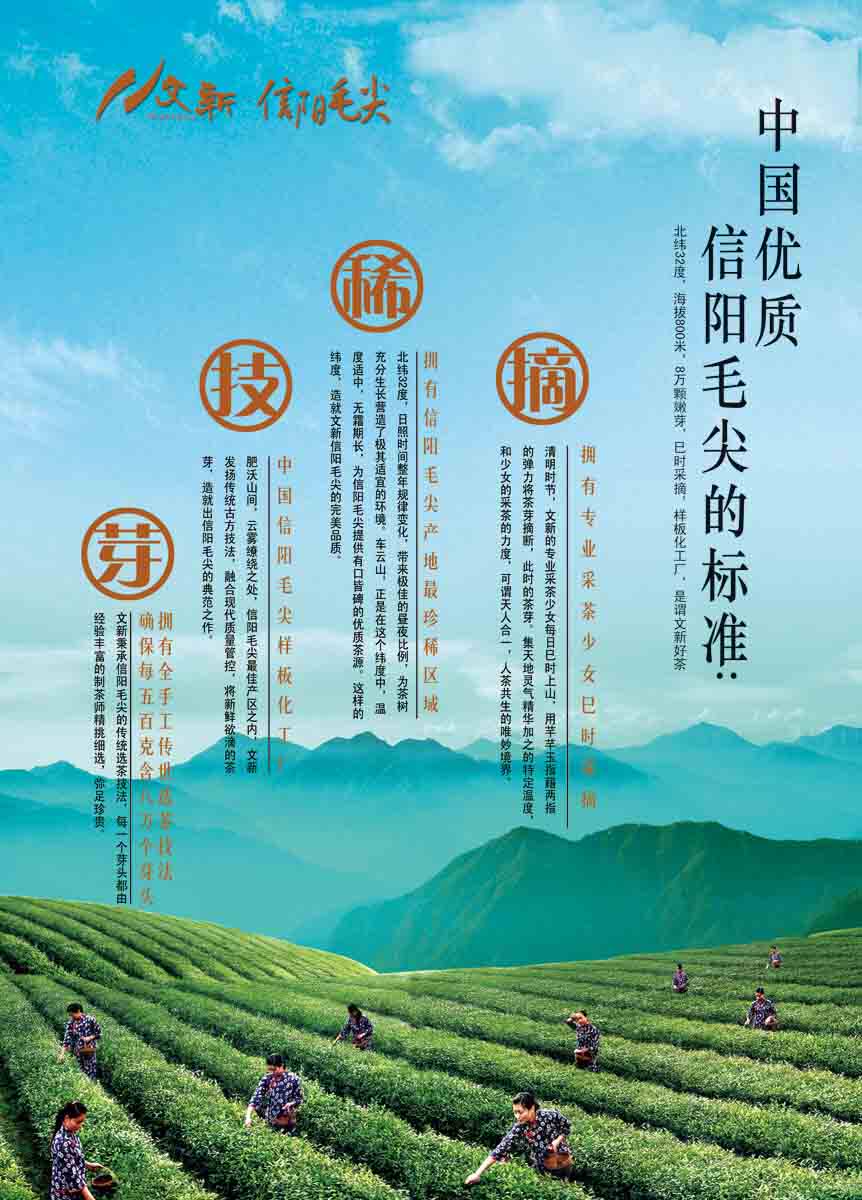 海报印制208海报展板素材(制作)6057信阳毛尖