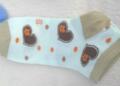 Chaussettes - collants - Ref 767297 Image 51