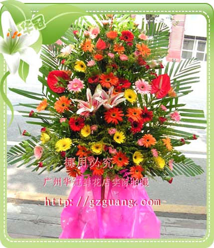 BL088生意兴隆/乔迁花蓝/商务用花