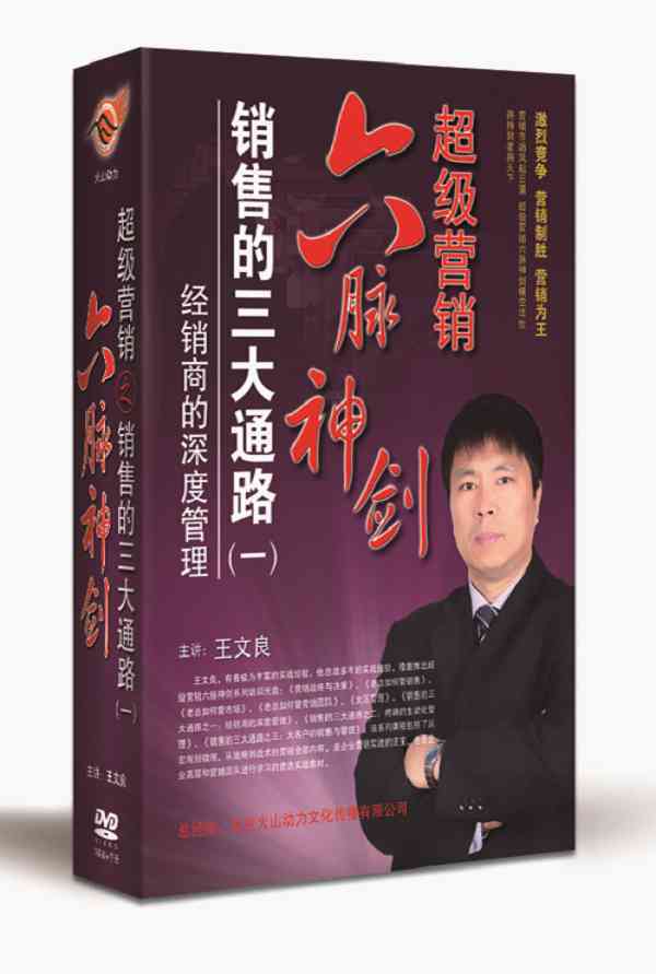 包发票正版 销售的三大通路经销商的深度管理 王文良6DVD+CD