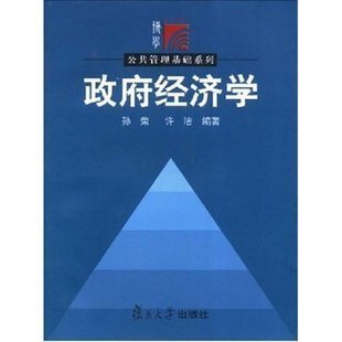 孙荣 复旦大学出版 政府经济学 现货 社9787309030327