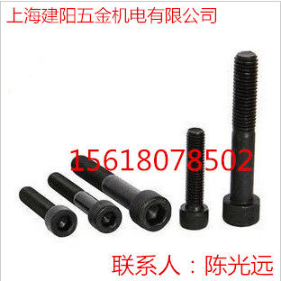 12.9级内六角螺丝 内六角杯头螺丝  内六角螺钉 杯头螺丝 M24,五金/工具,螺栓,淘宝优惠券,粉丝福利购,淘宝优惠卷