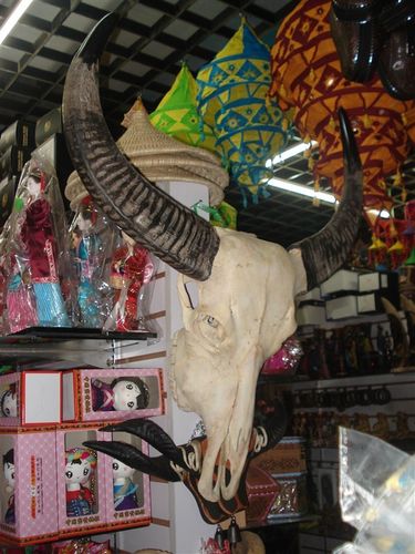 正宗天然大水牛头骨标本 牛头工艺品农家乐酒店装饰摆件挂饰