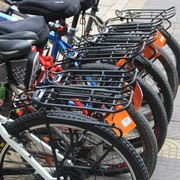 Porte-bagages pour vélo - Ref 2411684 Image 34