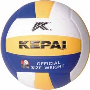 Ballon de volley - Ref 2011068 Image 1